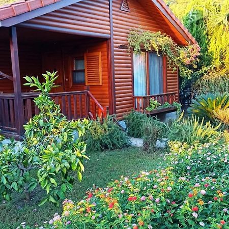 Leontopolis Apart Otel Çıralı Zewnętrze zdjęcie
