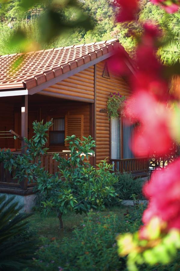 Leontopolis Apart Otel Çıralı Zewnętrze zdjęcie