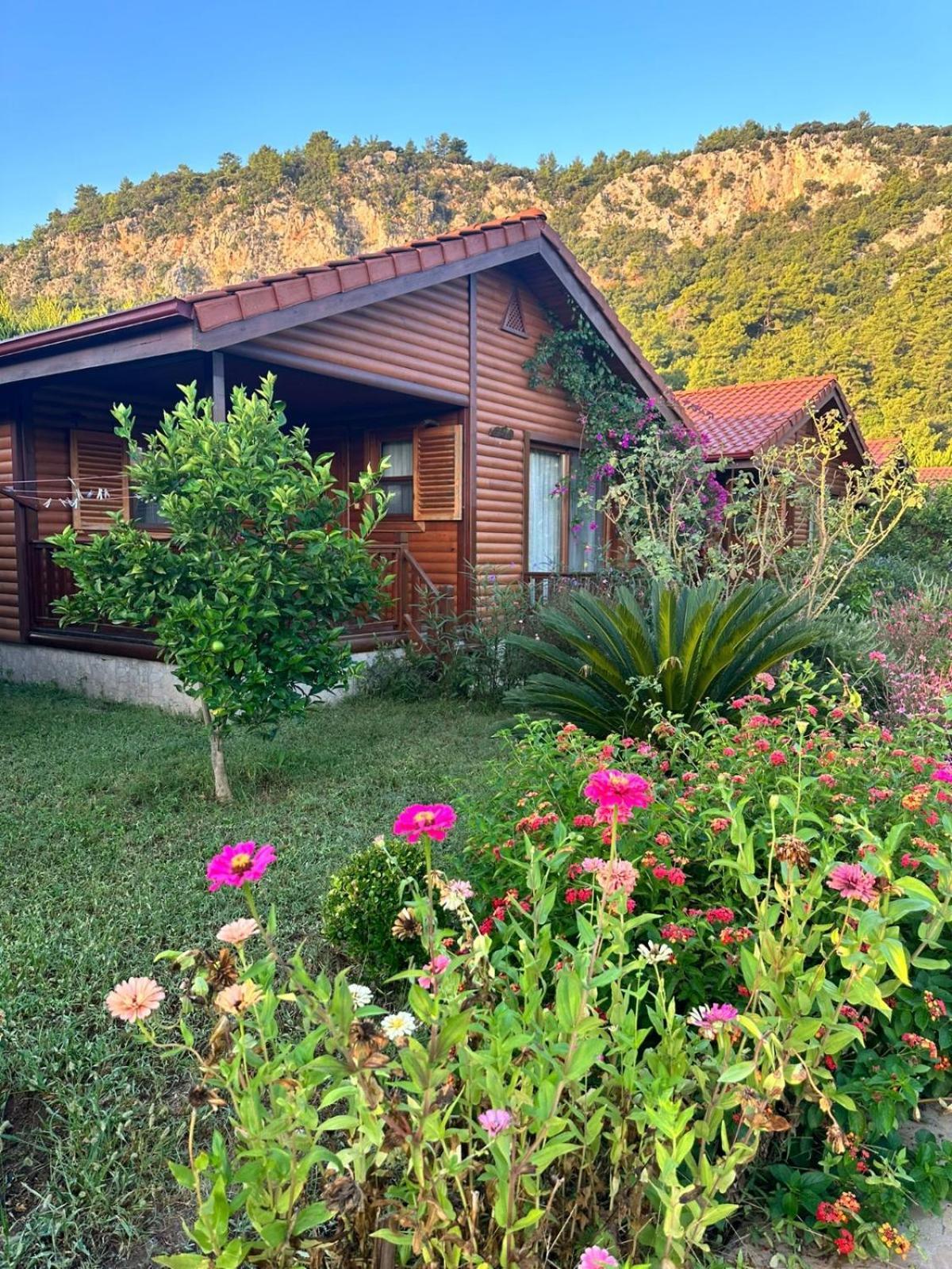 Leontopolis Apart Otel Çıralı Zewnętrze zdjęcie